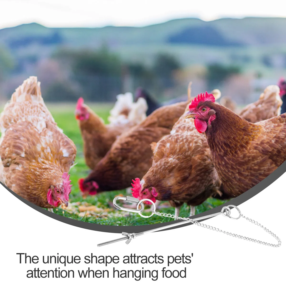 

Safe Material Chicken Hanging Feeder Adjustable Food Poles Veggies Skewer for Large Medium Birds Hanging Feeder Toy