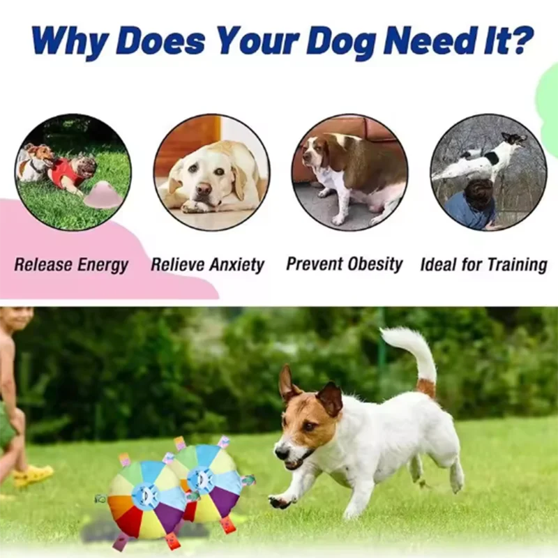 G1 Interactive Ball Toys With Grab Tabs Dog Bite Chew Balls Pets Accessories Puppy Outdoor Training Soccer Pet Supplies 16cm - view 5