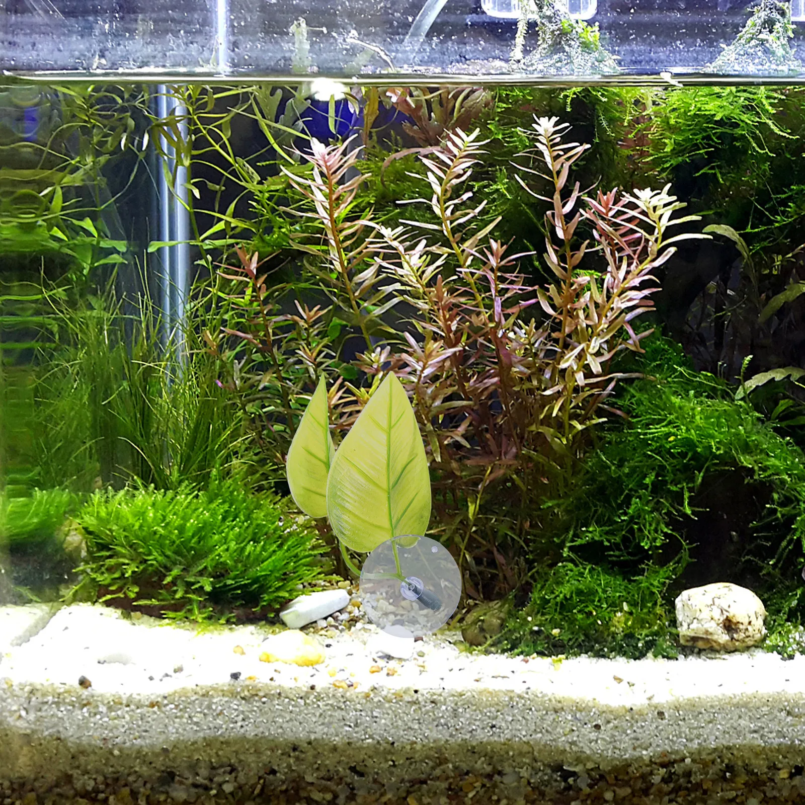 Planted Aquarium Betta - 5pcs Simulated Leaf Birth Bed Betta