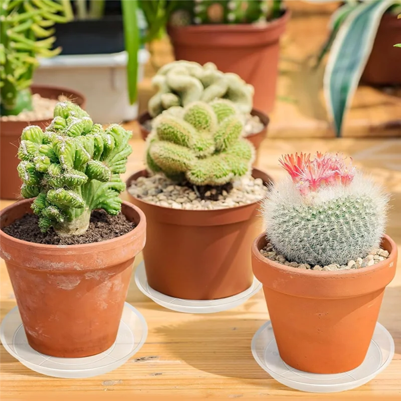 

B45C 30 Pack Plant Suacer 14Cm Plant Drip Trays For Pots Clear Plant Pot Trays Water-Repellent Plant Saucers For Gardens