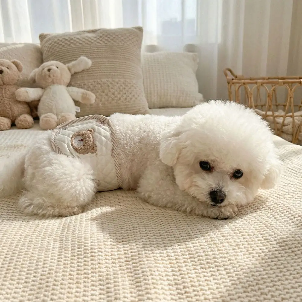 

Washable Adjustable Pet Dog Diaper Breathable Cartoon Bear Pattern Pet Physiological Pant Leak Proof Sanitary Underwear Pet Cat