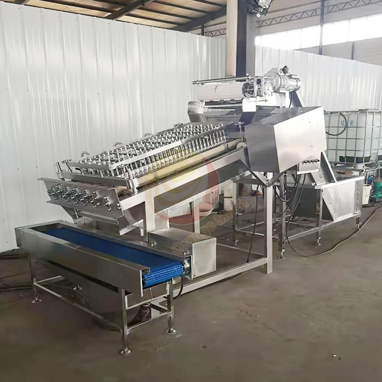 

Automatic Shrimp Deveining Machine Shrimp Shelling Cleaning Machine Prawn Peeler Shrimp Peeling Machine for Sale