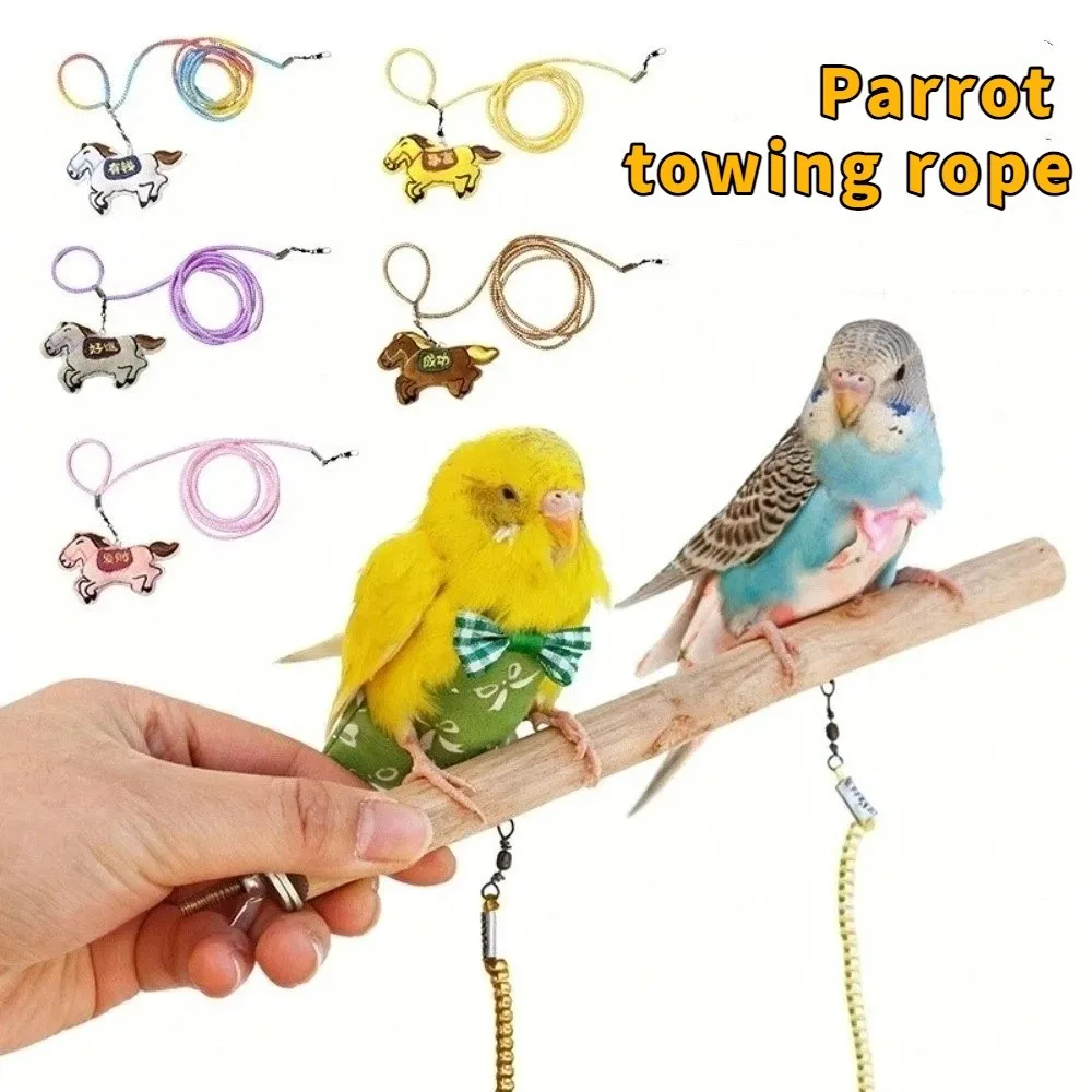 

Anti-Bite Bird Harness Leash Anti-flying Adjustable Bird Training Rope Blessing Elastic Rope Parrot Traction Rope Walking