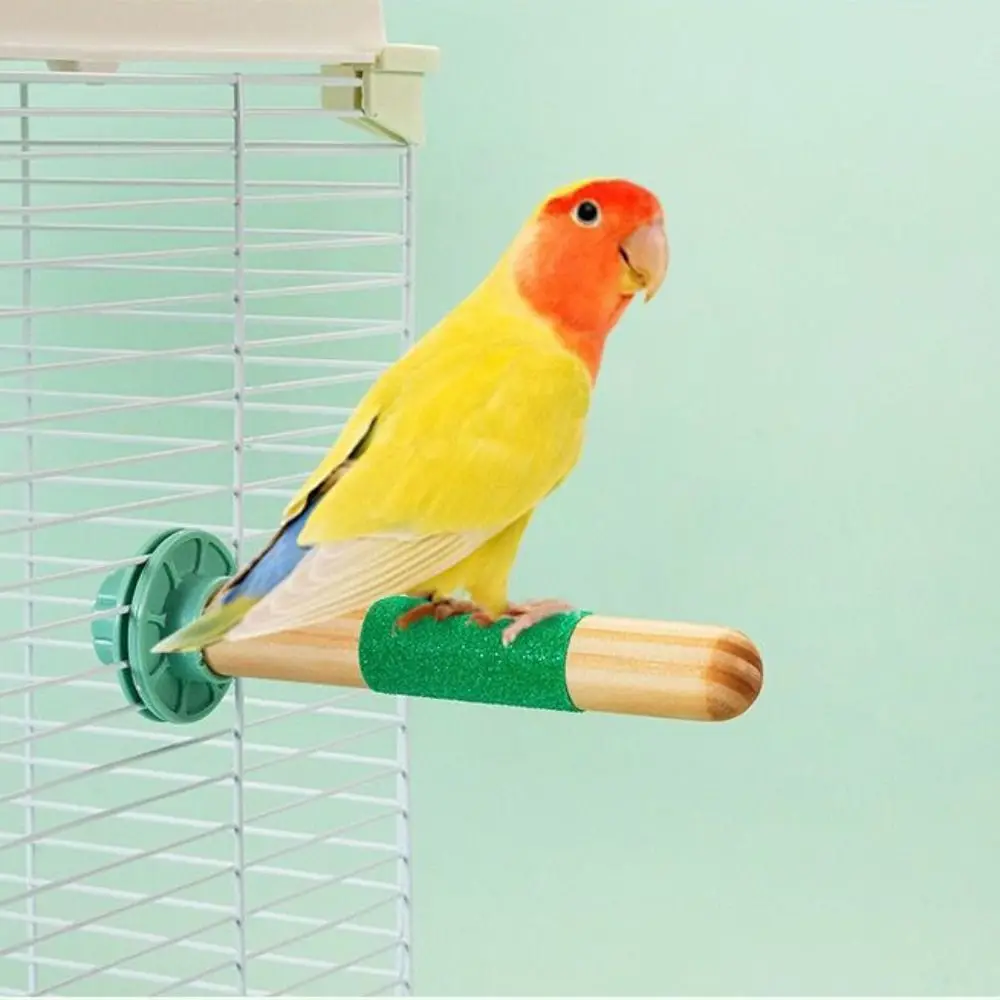 

Bite Resistant Parrot Climbing Stand Stable Non-slip Parrot Standing Pole Wear Resistant Bird Perching Station Parrot Training