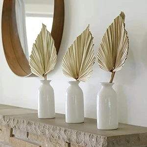 ميني مروحة النخيل أوراق الزهور المجففة ، أشكال مختلفة ، فروع أعشاب بامباس ، زينة الزفاف DIY ، ديكور المنزل ، 2 قطعة أعلى 12 مبيعات لشجرة الفروع الجافة - رقم 5