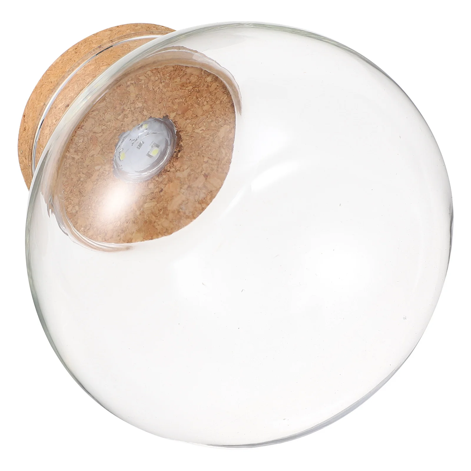 

Light Ecological Simple Plant Terrarium Bottle Diy Micro Landscape Glass Terrarium Borosilicate Fish Tank Home Decor Vase