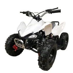 49cc Mini Atv Gasoline ATV for Children 2 Stroke Four Wheeler Quad 4x2 for Kids Off-Road Quadricycle Gas 6Inch Tire