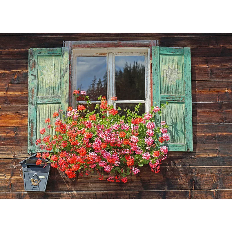 ZHISUXI European Street Photography fondali decorazione per feste Baby Kids Birthday Theme Photo Background 220325 BB-01