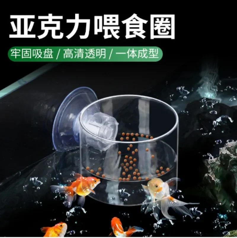 Acrylic Shrimp Feeder Food Dish Aquarium Fish Tank Feeding Cup Fish Feeder Brine Shrimp Eggs Food for Aquarium Accessories