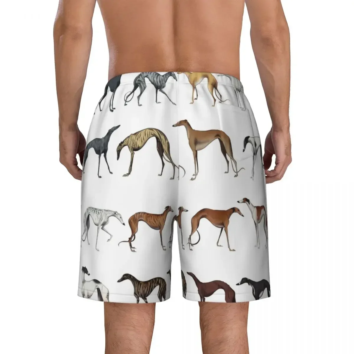 Bonito Whippet Sighthound Dog Men Swim Trunks Swimwear Quick Dry Beach Board Shorts Greyhound Hound Swimming Boardshorts