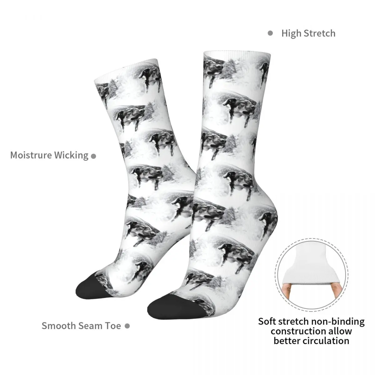 Artistic Dog Photography, Pet Portraits Canine Socks Harajuku Sweat Absorbing Stockings All Season Long Socks for Man Woman