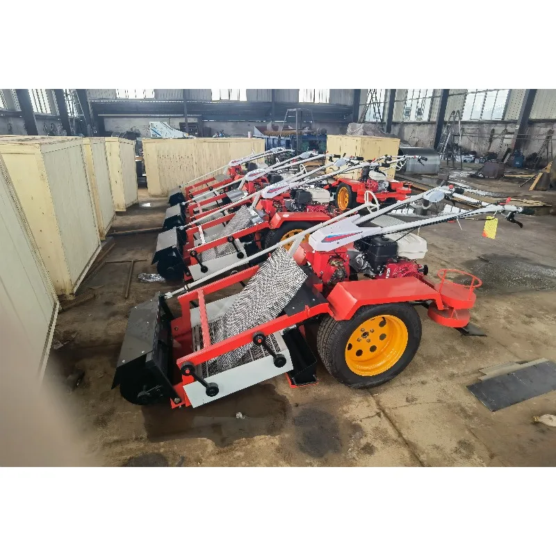 New Hand-Push Walk-Behind Beach Cleaner for Home Construction Farm Restaurant Hotels