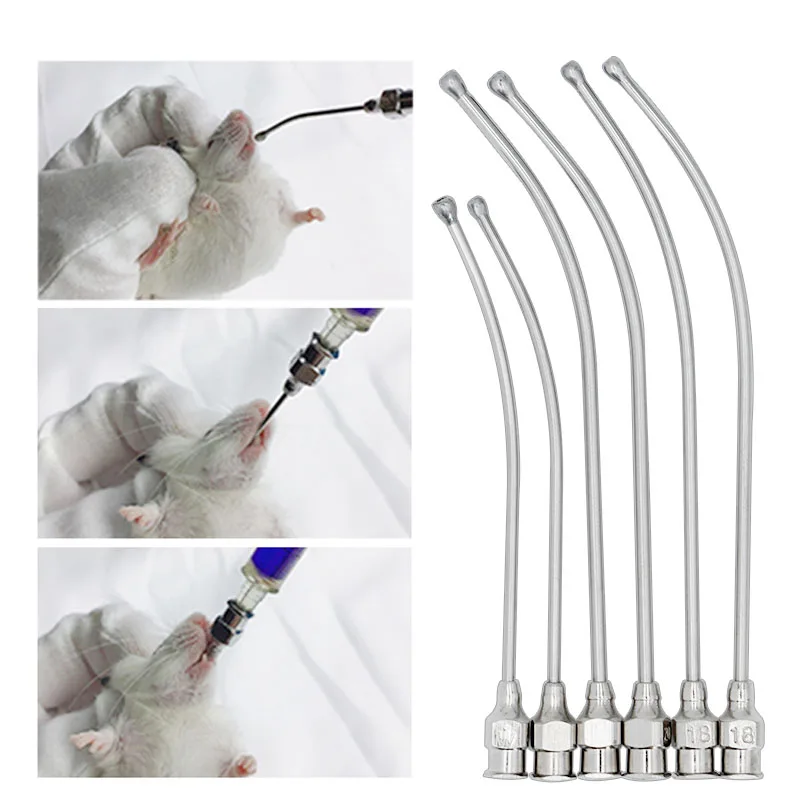 Stainless Steel Birds Feeding Syringe Tube Nozzle Rats and Mice/Parrots/Birds/Poultry/Pets Straight Elbow Gavage Needles