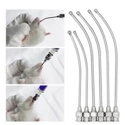 Stainless Steel Birds Feeding Syringe Tube Nozzle Rats and Mice/Parrots/Birds/Poultry/Pets Straight Elbow Gavage Needles