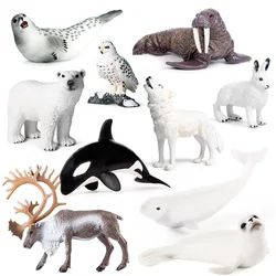Simulation Marine Animal World Model Polar Bear Reindeer Beluga Whale Walrus Curilensis Children Cognitive Plastic Toys figurine