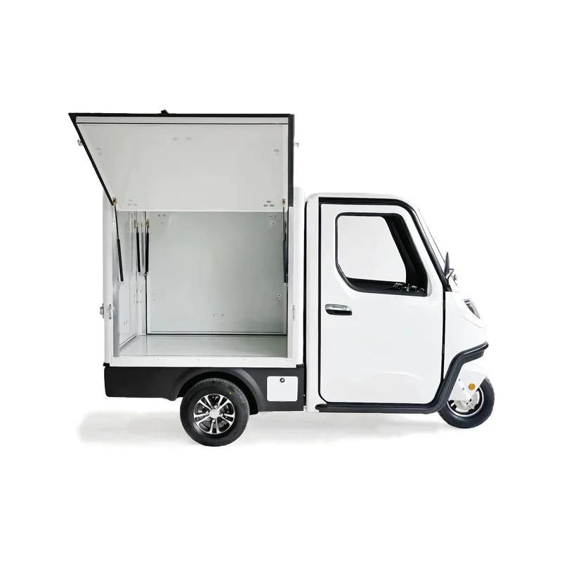 3.0Kw Better Quality Delivery Cargo Trike Tricycle Market