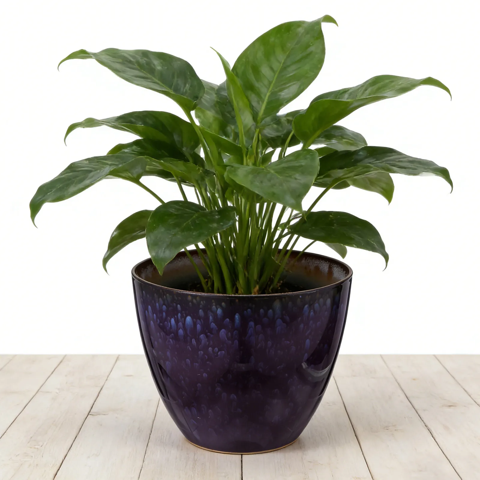 

Элегантный цветочный горшок из смолы с глазурью для орхидей фаленопсис, декоративный горшок для суккулентов, комнатное кашпо для растений