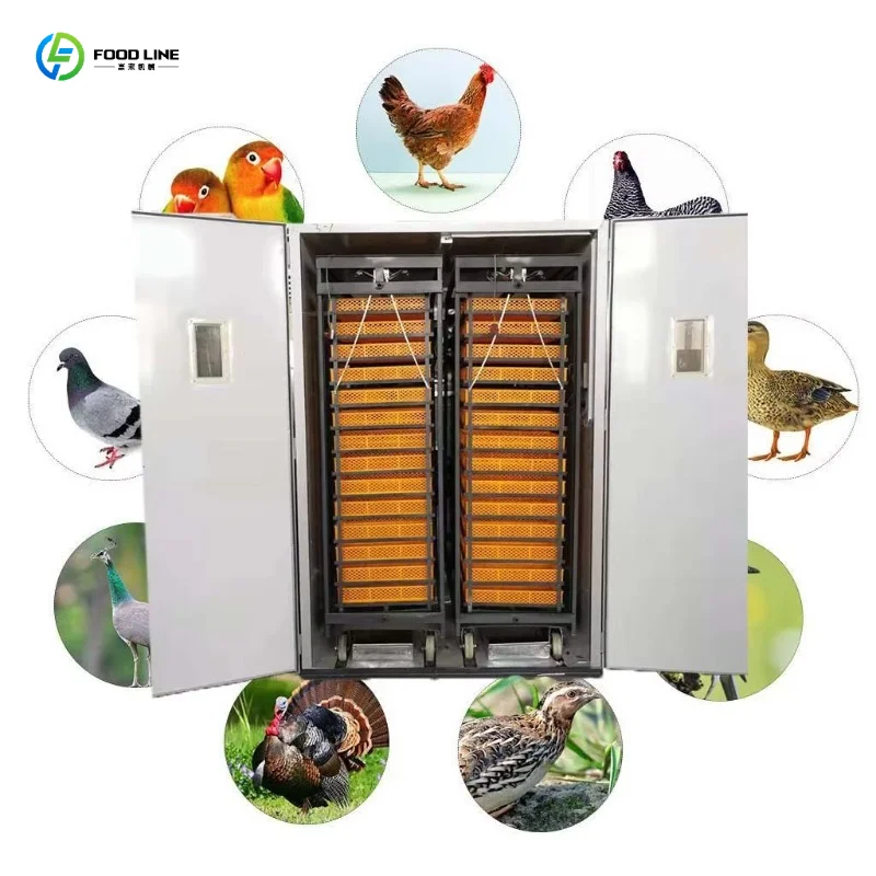 Customized Setting Eggs Solar Incubator Hatcher for Hatching Bird Pigeon DUCK Chicken Eggs