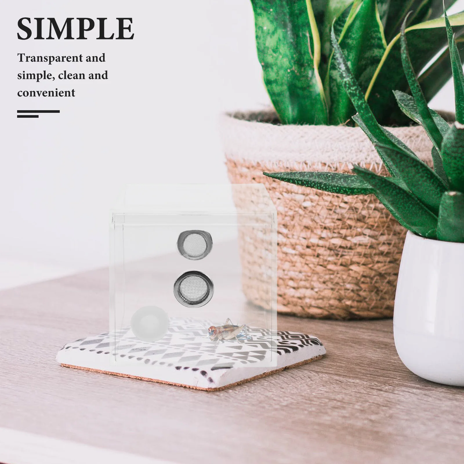 

1pcs Transparent Cricket Keeper Insect Habitat Box Reptile Spider Feeding Enclosure Bug Cage Mini Terrarium Container Kid Pet
