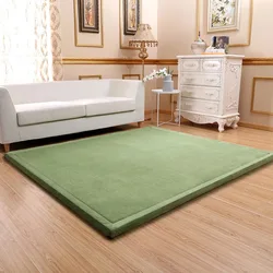 Thickness 3CM Carpet Japanese Style Coral Fleece Velvet Mattress Living Room Carpet Camel Bed Mats Bedroom rug Baby Crawling Mat