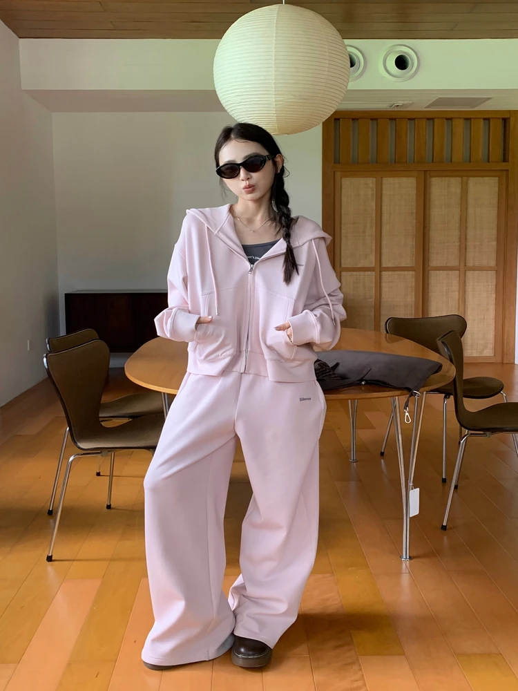 

Свободный повседневный комплект из толстовки и брюк: женская вышитая толстовка с капюшоном, удобная верхняя одежда с длинными рукавами на молнии