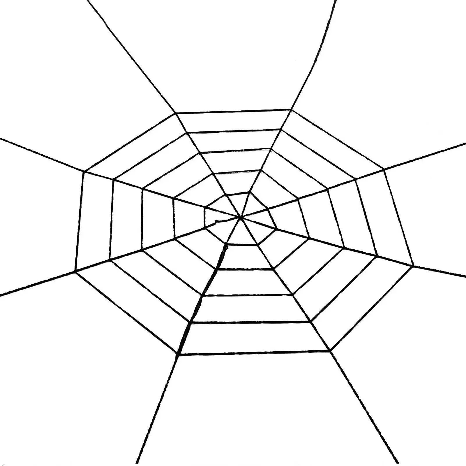Giant Spider Web Halloween Decoration Fixable Simulation Spider-Web Decor Scary Cobweb Horror Party Outdoor Simulation PropsXJ24