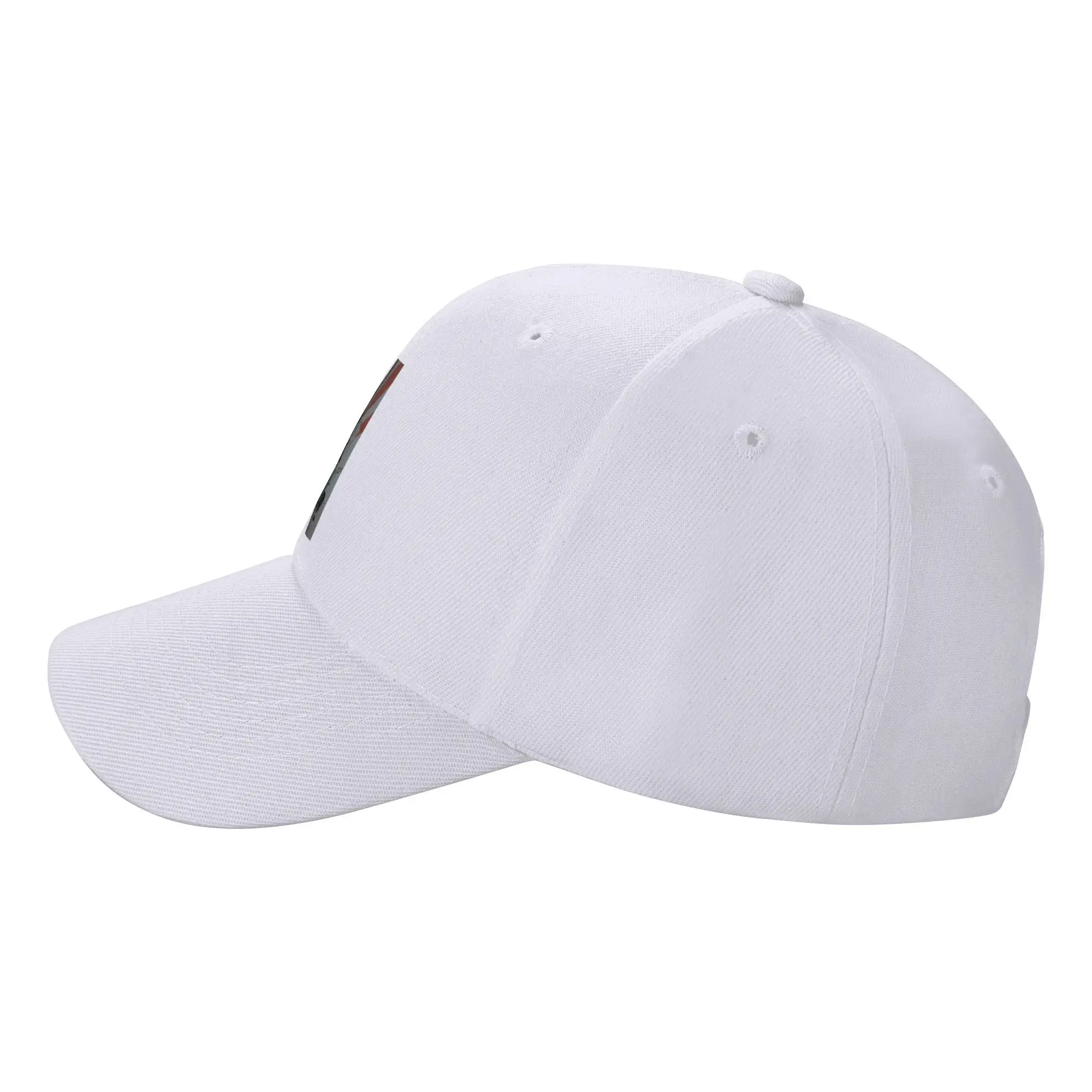 Ranma 1/2 Saotome Pig Girls P Chan قبعات البيسبول Snapback قبعات البيسبول الموضة تنفس عادية Casquette في الهواء الطلق للجنسين