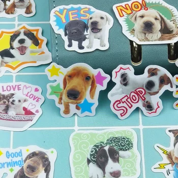 40pcs Pet Dog Holiday Party Sticker Mobile Phone Cup Laptop Skateboard Cute Pet Sticker 1