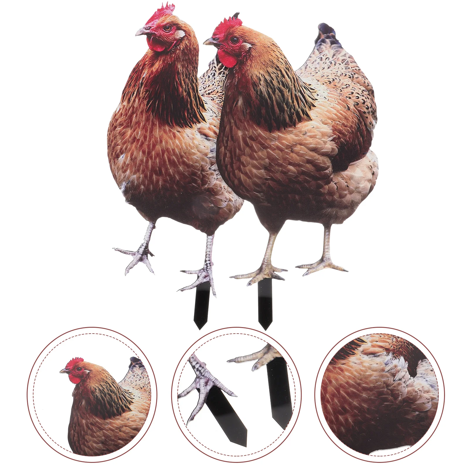 

2 Pcs Chicken Garden Decoration Stakes Figures Decorations Sculpture Outdoor Insert Yards Hen