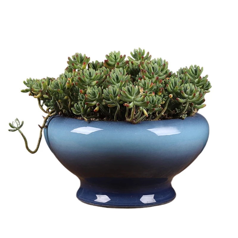 

ceramic Green Plant Succulent phalaenopsis pot large diameter flower pot new Chinese style home living room decorations pot
