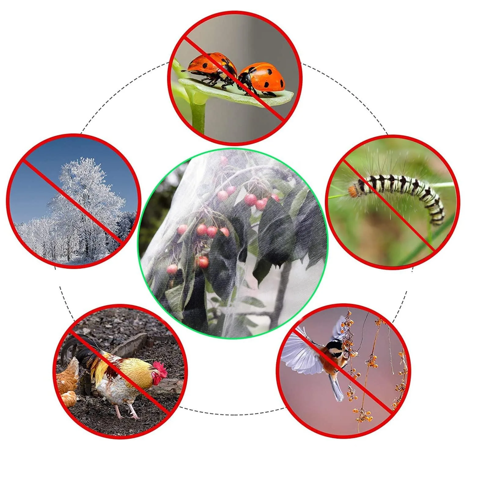 Large Fruit Tree Netting Bags with Zipper and Drawstring  Garden Birds Nettings for Cherry Apple Tree Blueberry Bushes