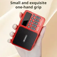 SANSUI F65 Portable Wireless Bluetooth Speakers FM Radio Outdoor HI-FI Subwoofer Supports Headphone Output USB Drive TF Card AUX