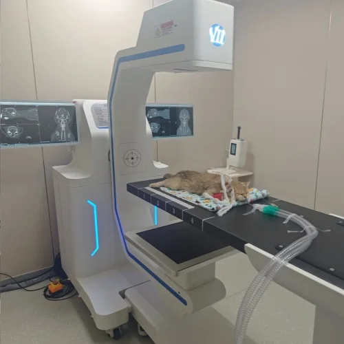 Veterinary CT Scan Machine Multi-functional CT Scanner With C-arm Gantry Dynamic DR Dog Compatible For Animal Hospitals