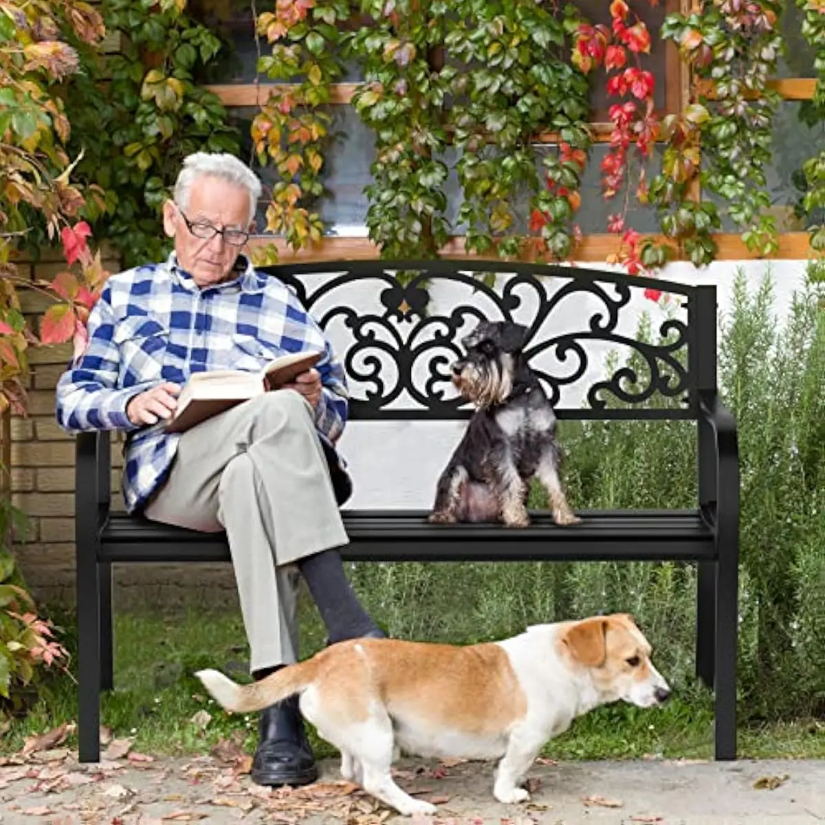 Outdoor Steel Bench with Floral Powder-Coated Finish | 50 Inch Wide Ventilated Seat for Patio Deck Yard Entryway | Weatherproof