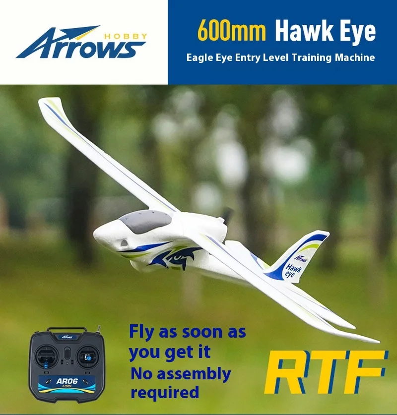 

Модель полета с синей стрелкой, 600 мм, «Орлиный глаз», для начинающих, ручной Метатель, с фиксированным крылом, для начинающих, пульт дистанционного управления, электрическая модель самолета