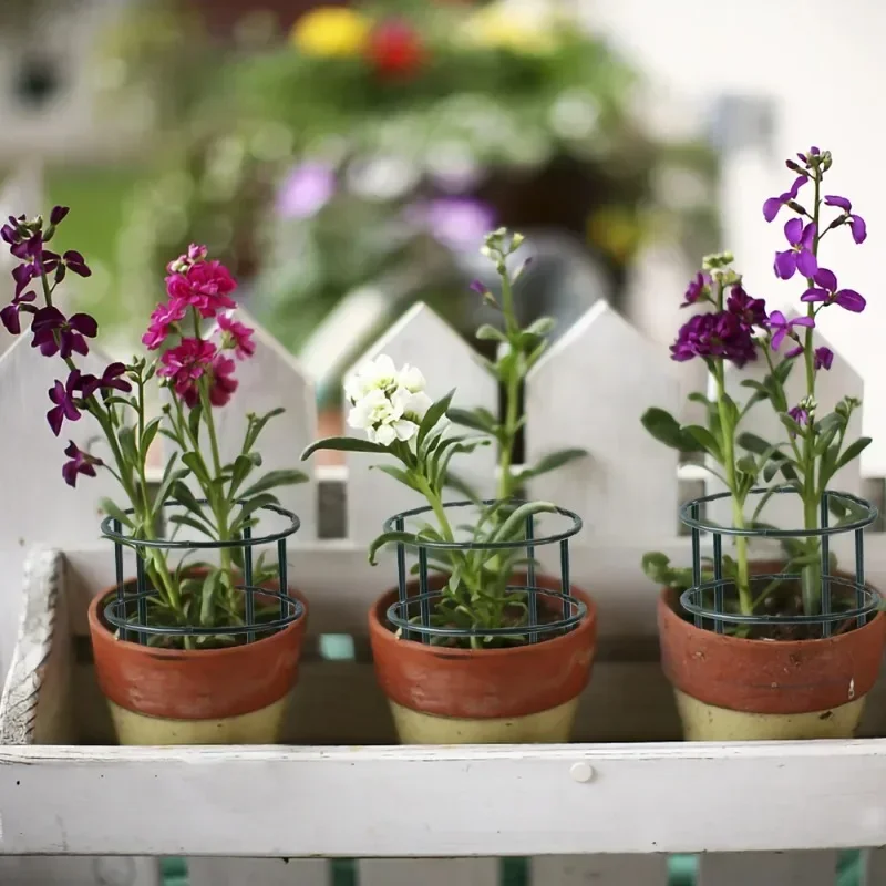 1/20x Kandang Penyangga Tanaman Plastik Rangka Tumpukan Penyangga Tanaman Rangkaian Rumah Kaca Pemegang Batang Tetap Setengah Lingkaran Penyangga Taman Tanaman Rambat