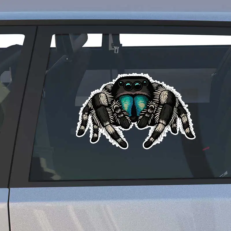Cute Spider Car Sticker Vinyl Decal Waterproof Rear Window Motorcycle Camper Bumper Truck Laptop Decoration SH1627 4