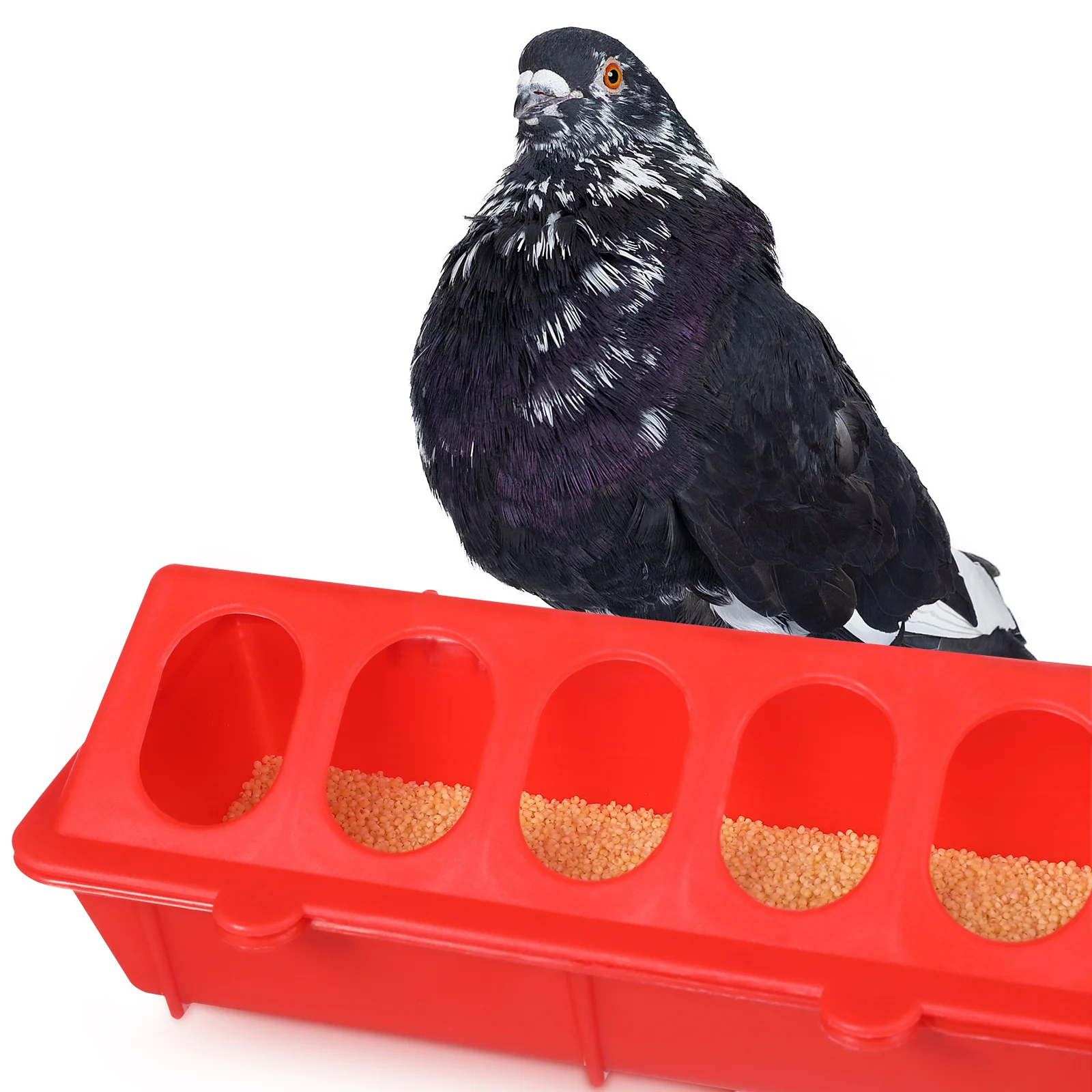 

2Pcs Pigeon Feeding Food Box Strong Plastic Bird Cage Trough Prevent Food Dirty Easy for Small Birds