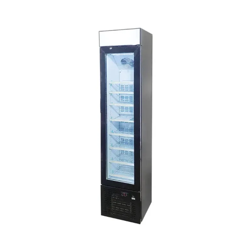 Stand-up refrigerator Stand-alone freezer Restaurant Commercial refrigerator with glass door