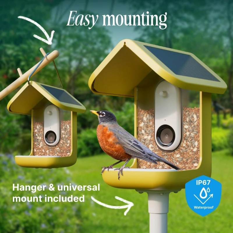 Original Smart Bird Feeder with Camera. High Resolution AI Camera for Beautiful Close-up Shots and a Unique Bird Watching