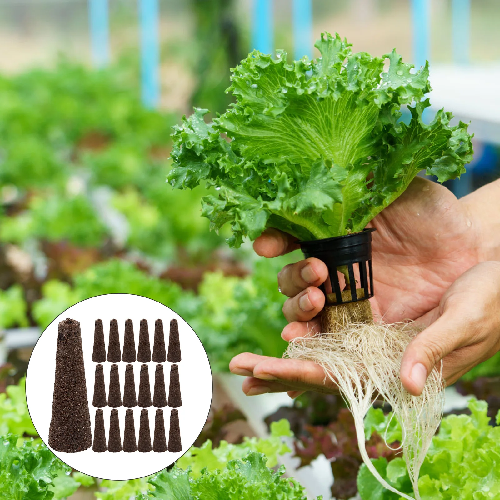 50 spugne creative per coltivazione fuori suolo, pratiche e sicure per coltivatori tradizionali e idroponiche