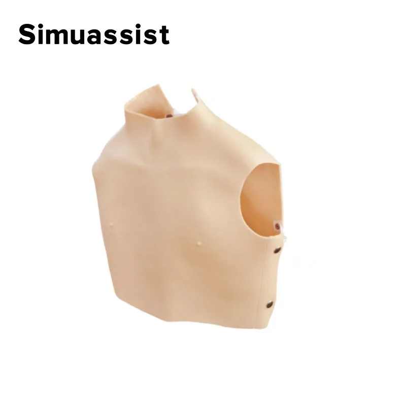 

Cardiopulmonary auscultation model Wearable Vest