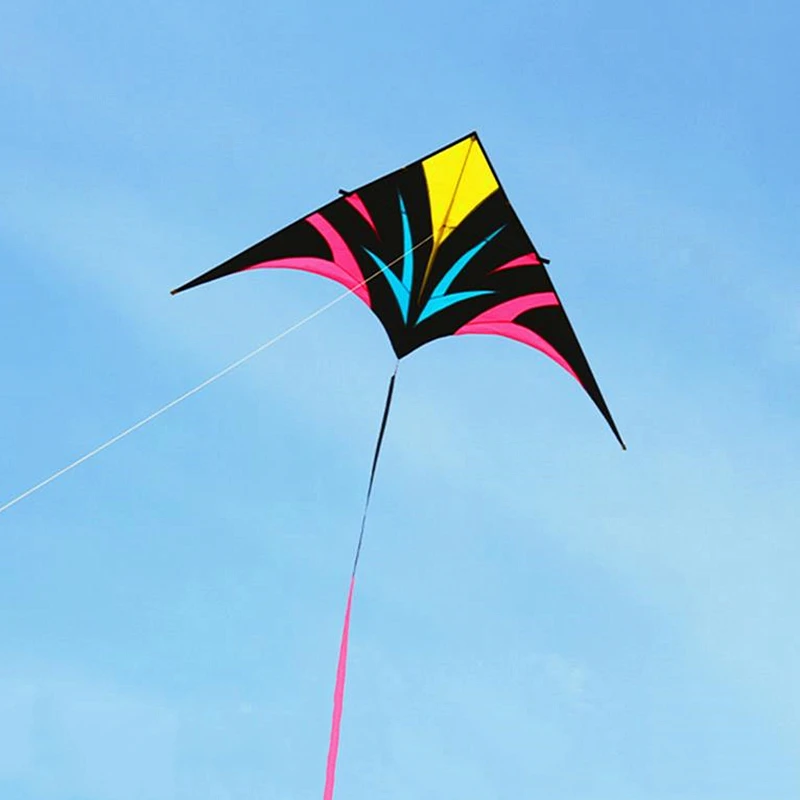 free shipping large delta kites flying for adults kites reel professional wind kites factory kite flying power kite dragon kite