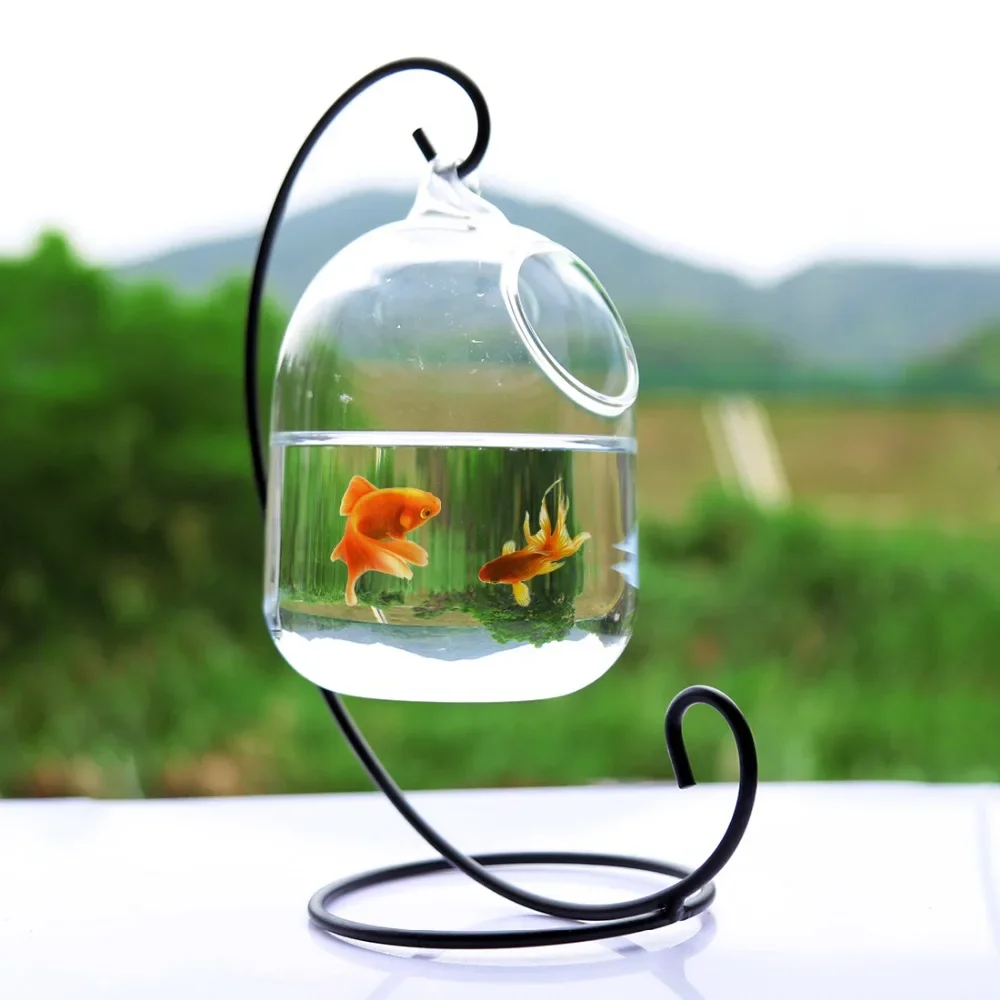 Creative Glass hanging fish tank Hanging Aquarium Fish Bowl Fish Tank Flower Plant Vase White Rack Fishbowls home decoration