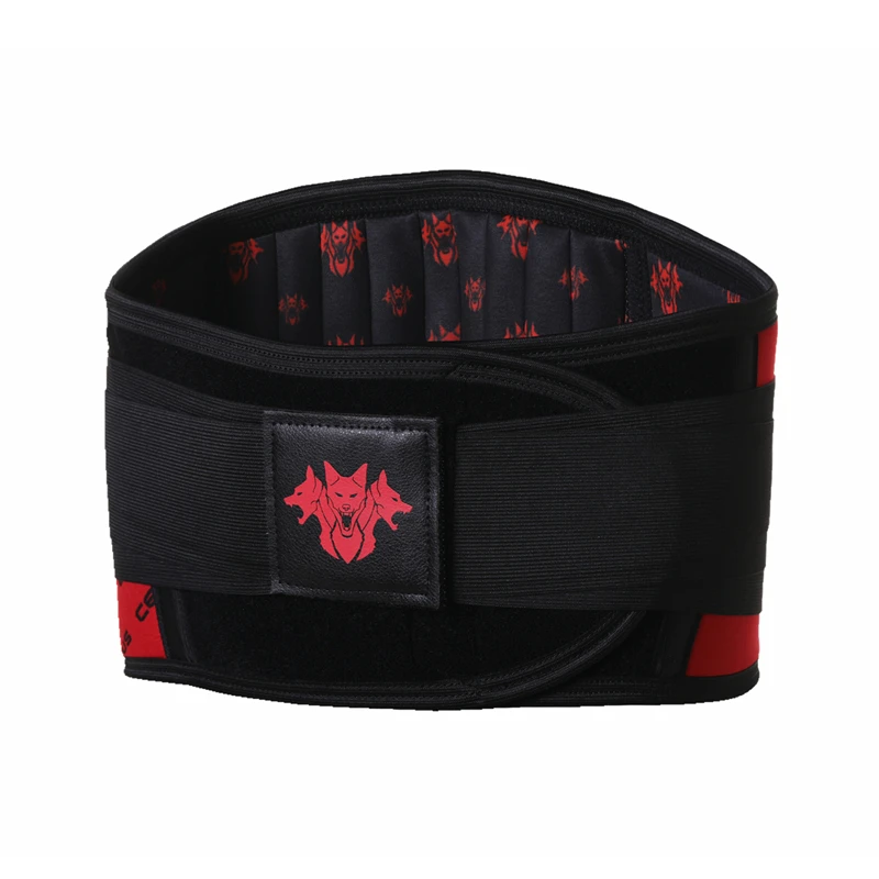 Cerberus Waist Trainer Gym Accessories Sport Safety Bodybuilding Powerlifting Waist Support Workout Musculation Gym Belt for Men