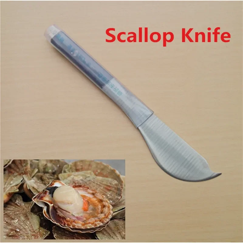 1pc Scallop shellfish seafood picking sharp knife shell clam opening oyster Short knife Seafood knife kitchen gadgets