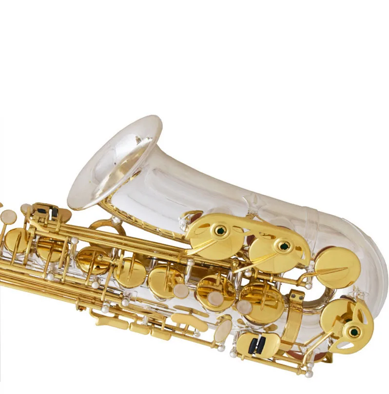 

Silver Body Gold Key Alto Saxophone E-flat Instrument