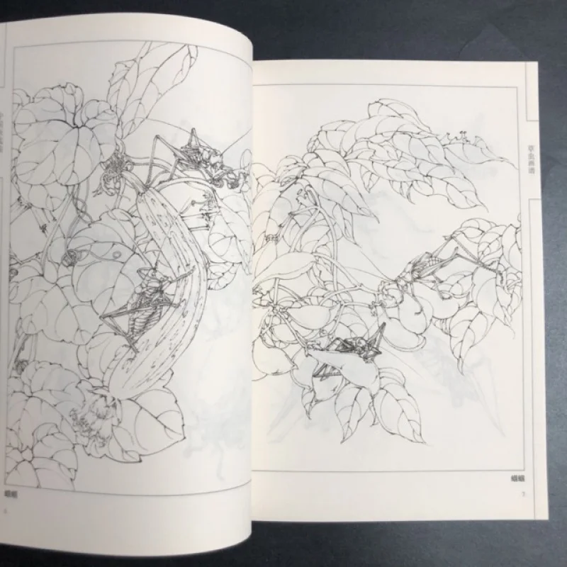 Coloring Book for Adults and Teens Featuring  with Easy and Simple Designs for Relaxation Chinese painting sketch