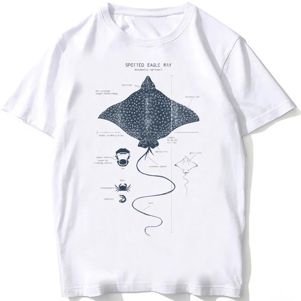 Lässige T-Shirts Strandtauchen Weißes T-Shirt Vintage Tees Walhai-Anatomie T-Shirt Damen Hip Hop Ästhetische Kleidung – Detail 8