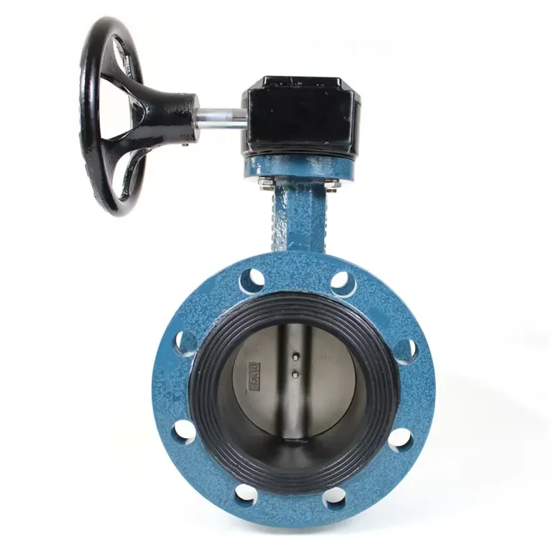DN500 500mm Manual Water Worm Gear PN16 Double Flange Cast Iron Butterfly Valve with Handles ISO9001 Certified Model D41